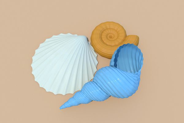 VC_2018_image_60.jpg