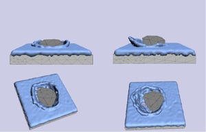 VC2020_paper_11
